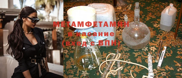 гидра Богородицк