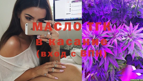 гидра Богородицк