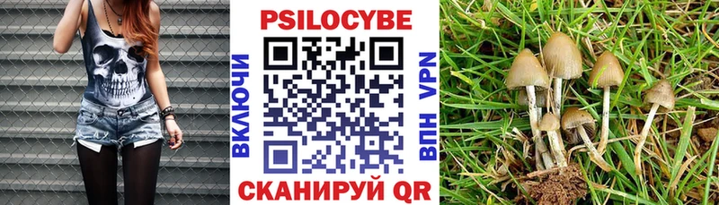 Псилоцибиновые грибы Magic Shrooms  закладки  Буинск 